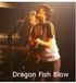 Dragon Fish Blow