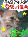 ʿ������ǯ���ط����ûҽ������