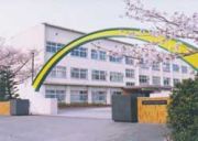 �����ûҡ�������������