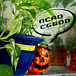 NCAD CG��DD