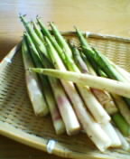 北国のうまいもの