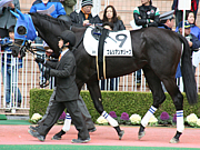 プルシアンオリーブ
