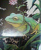 雪蛙 ‐snow frog‐