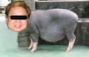 ̤��ǧ��ʪȯ������