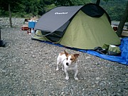 Quechua Pop Up Tent(^^)d