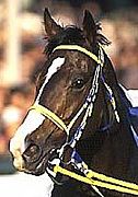 thoroughbred tony club