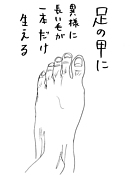 ���ڤ椦���ե��󥯥��