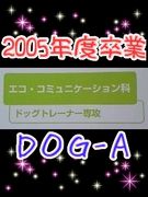 ��FCA DOG-A��(2005ǯ´)