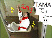 @TAMA
