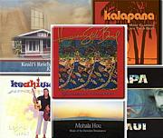 Hawaiian Music Lovers(for gay)