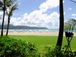 hawaiiɤʤΡ