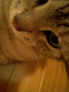 I LOVE �ꥢ��