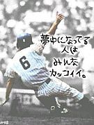 ENDURANCE／草野球チーム