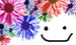 Hanalab �֥��