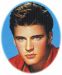 RICKY NELSON ��å��� �ͥ륽��