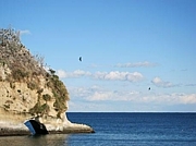 �뤬�����ܡ���