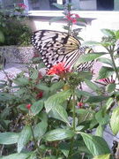 施設福祉の未来を考える