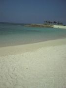 ���ϥ磻���ʰ�α�ء���