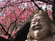 １９７１年１月１０日生まれ