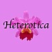 �إƥ��ƥ�����net