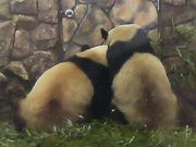 ����Ū�˸��äơ���