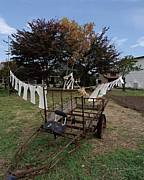 【おぶせ　Tシャツ畑】