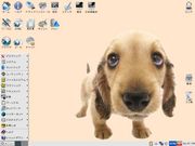 Puppy Linux ͧβ