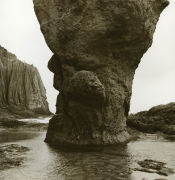 �̿��ȡ�������