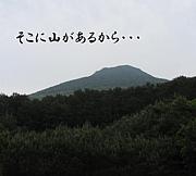 ����OB�л���