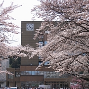 日本大学工学部