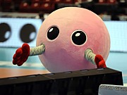 創大男バレ