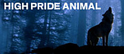 HIGH PRIDE ANIMAL