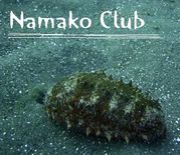 Namako club