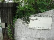 Roguii