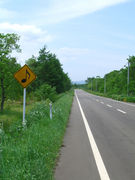 եȤ