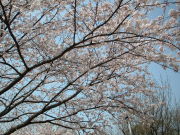 ���ܺ��Ω�ֹ���ع�