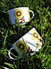 Coffee cup and Sunny garden