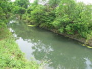 自然システム学科 @徳島大学