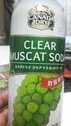 SCAT