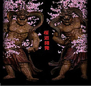 ƻȯС