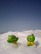 �����Ͻ��Ҥ��Ρ�����餤������