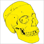 �������ԡ���