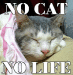 NO CAT,NO LIFE