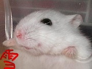 �����Ϥ���