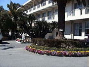 宮崎市立大淀小学校 mixiコミュニティ