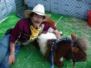 Enter the Arcadia-world