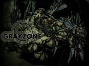 grayzone