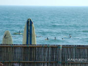 �������Υѥ���