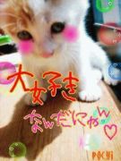 ♥�ƥ�Ӥ�̼♥