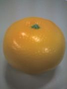 キャリアポイントのお仕事